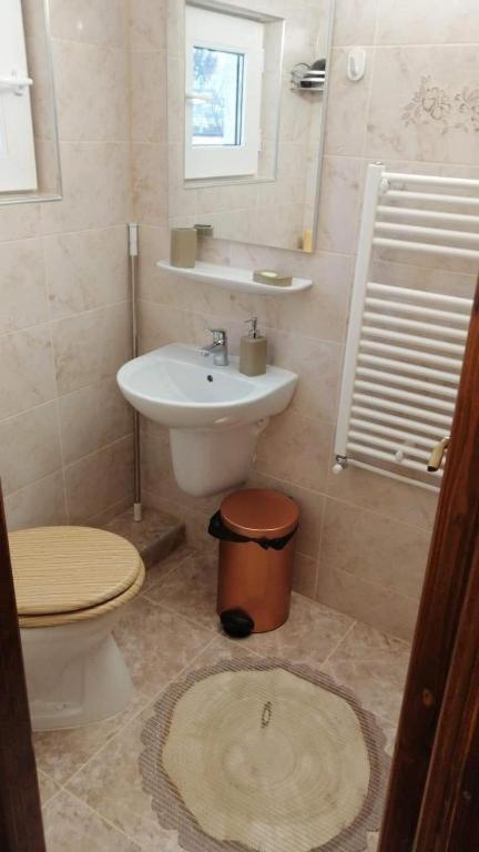 Gyongyver Panzio Sfantu Gheorghe  Room photo